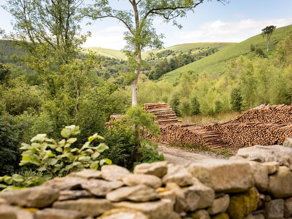 Red Kite Barn - Charming Boutique Barn Conversion Newbridge on Wye Kültér fotó
